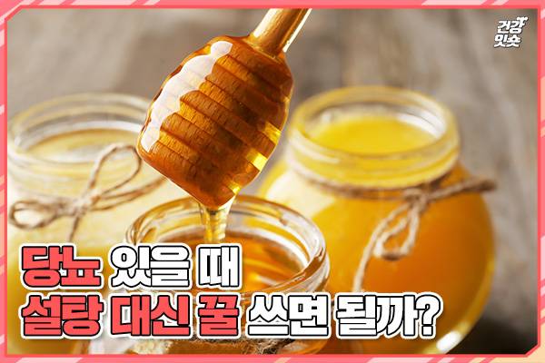 헬스조선DB