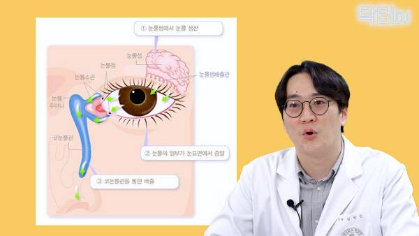 사진=유튜브 닥터DJ 영상 캡처