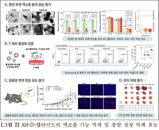 사진= 보건산업진흥원