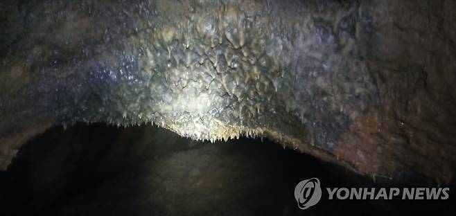 제주서 공사중 발견된 동굴 내부 [제주도 제공.재판매 및 DB 금지]