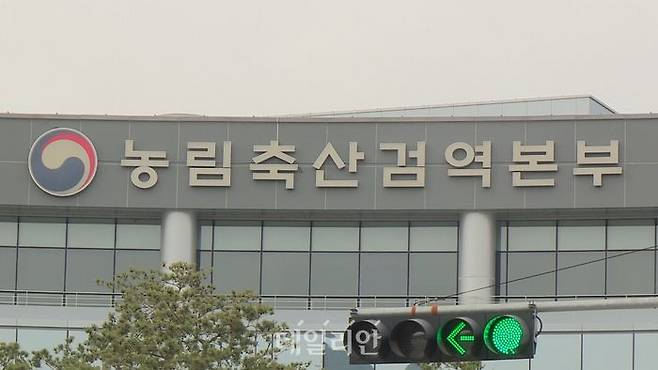 농림축산검역본부 ⓒ연합뉴스