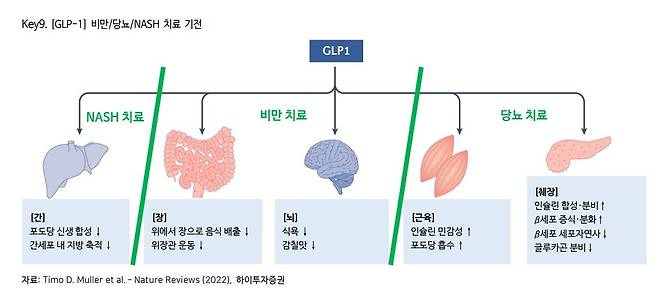 GLP-1 호르몬 유사체가 치료제로 작용하는 원리. 자료:하이투자증권