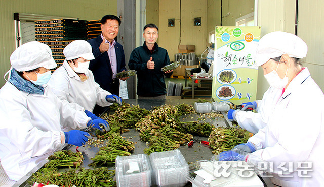 경북 상주 외서농협 김광출 조합장(왼쪽 세번째부터)과 박범현 농산물산지유통센터(APC) 소장이 햇순나물 제품을 보여주고 있다.