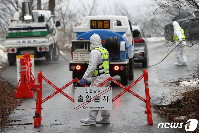 강원 양양군 소재 돼지농장의 출입이 통제되고 있다. 2023.2.13/뉴스1 ⓒ News1 조태형 기자