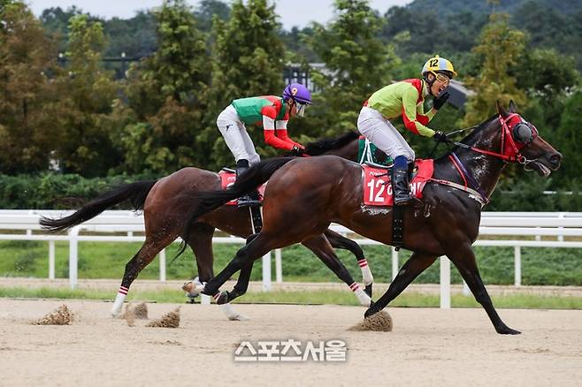 어마어마