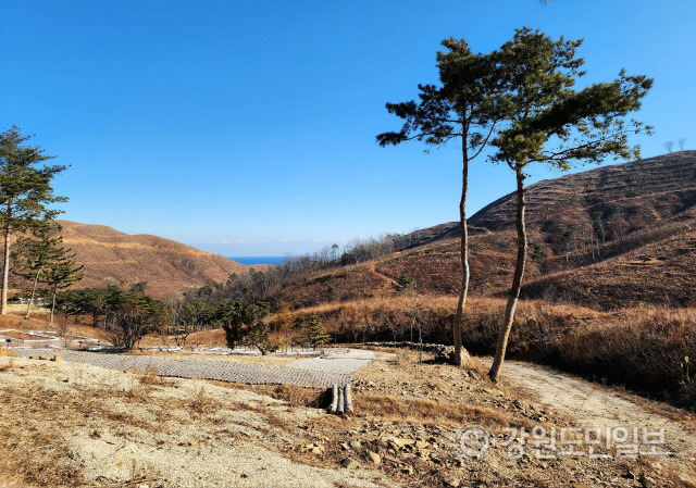 ▲ 더씨뷰의 동해시 망상동 산97번지 일원 동해골프&리조트 건립사업 예정부지 현재 모습.