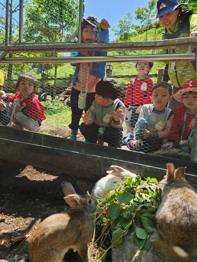 전남 보성군 제암산자연휴양림 유아 숲 체험장에 마련된 토끼장에서 보성 별밭유치원생들이 먹이를 건네주고 있다. / 사진=보성군 제공