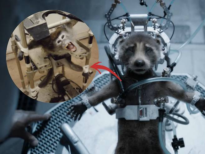 [가오갤3 공식 예고영상 및 페타 홈페이지 캡처]