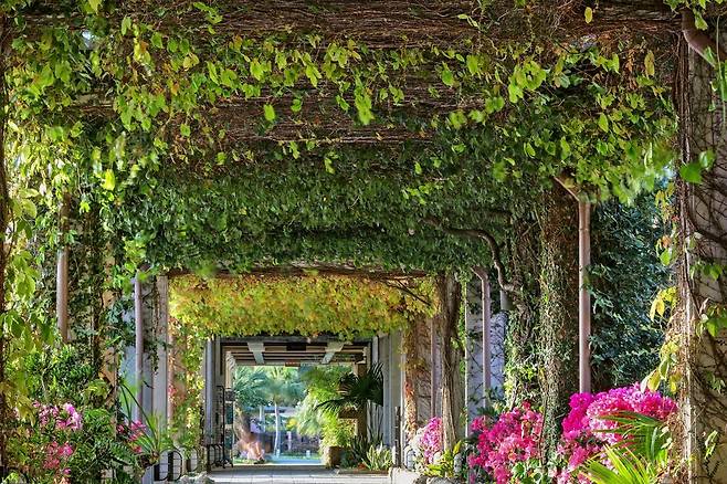 오쿠마 리조트 [사진/진성철 기자]