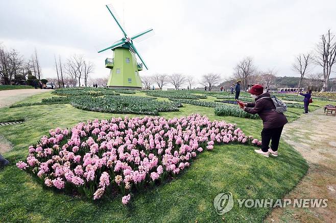 네덜란드 풍차와 정원 [연합뉴스 자료사진]