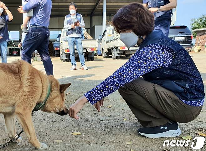 한정애 환경부장관이 27일 오전 경기 양주시 광석1리 마을회관에서 진행된 '마당개 중성화 프로젝트'에 참여해 마당개에게 손등을 내밀며 인사를 하고 있다. 2021.6.27/뉴스1 (자료사진) ⓒ News1 최서윤 기자