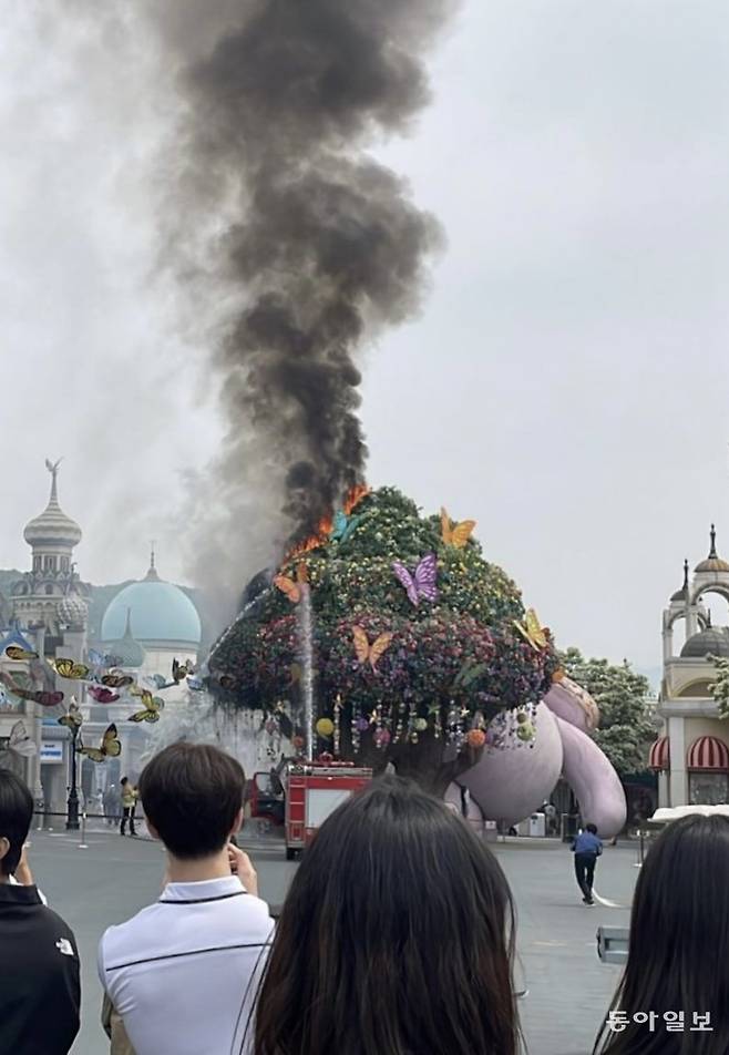 사진=김건희 씨 제공