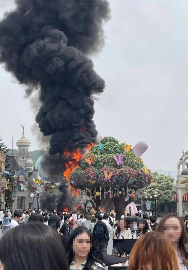 사진=김건희 씨 제공