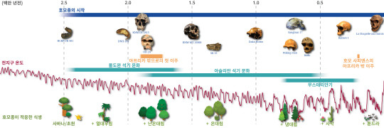 IBS 기후물리 연구단은 인류의 조상인 호모종이 혹독한 기후변화 속에서도 진화하며 살아남을 수 있었던 사실을 다양한 생태환경을 찾아 거주영역 확장했기 때문이라는 사실을 밝혀냈다. 사진은 6개 호모종의 진화와 식생