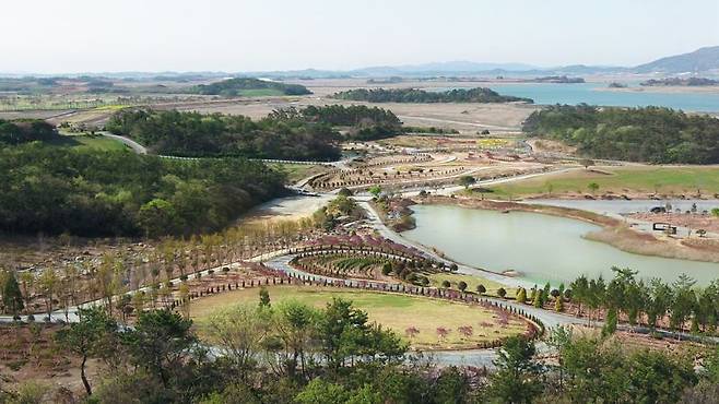 전남 해남군이 산림자원 확충, 목재 안정적 자급 기반 조성, 미세먼지 등 기후변화에 대응한 탄소흡수원 확충 등을 위해 조림사업을 역점 실시하고 있다. 사진은 솔라시도 기업도시에 조성 중인 산이정원 모습. 해남군 제공