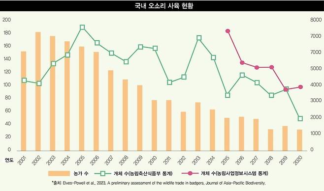 그래픽_영상소셜팀 나성숙