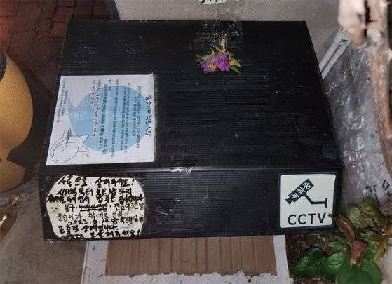 성동구 용답동에 있는 길고양이 급식소. ‘CCTV 작동 중’이란 경고문과 함께 ‘길고양이를 사랑해달라’는 문구가 적혀 있다. / 사진:이상우 인턴기자