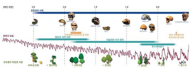 호모종의 진화와 이 시기 전 지구 온도 변화 및 적응 식생/사진=엘크 젤러 부산대 박사과정생 제공