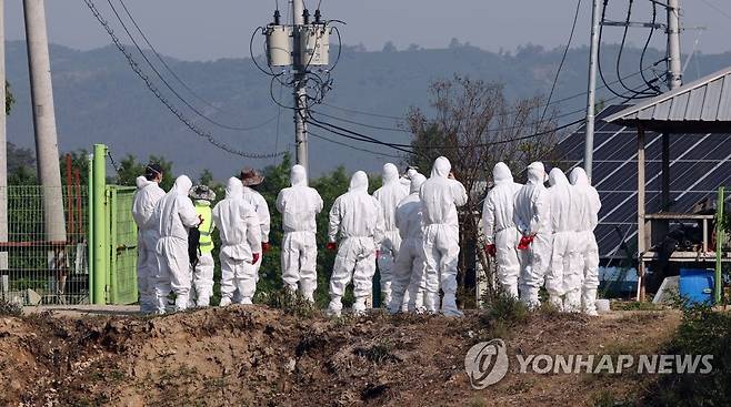 구제역 발생한 한우 농장 들어가는 방역 관계자들 [연합뉴스 자료 사진]