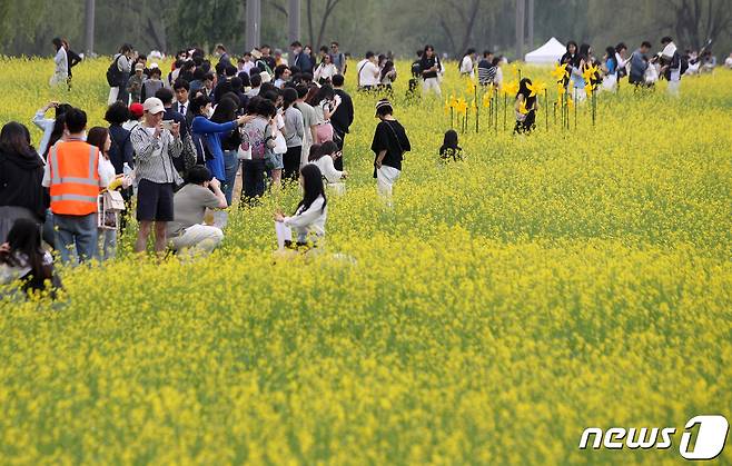 13일 오후 서울 서초구 반포한강공원 서래섬 일대에서 열린 '2023 한강 서래섬 유채꽃 축제'에서 시민들이 주말 꽃나들이를 즐기고 있다. 2023.5.13/뉴스1 ⓒ News1 구윤성 기자