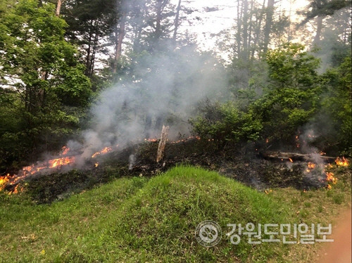 ▲ 태백시 철암동 산불[강원도소방본부 제공]