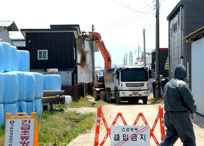 구제역이 발생한 지난 11일 오전 충북 청주시 청원구 북이면 한 한우농장에서 방역당국 관계자들이 외부인 출입을 통제하고 있다. ⓒ뉴시스