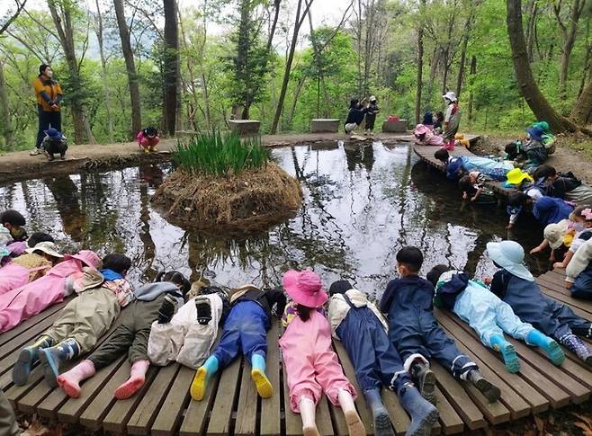 [안동=뉴시스] 유아 숲체험 교육. (사진=경북도 제공) 2023.05.14 *재판매 및 DB 금지