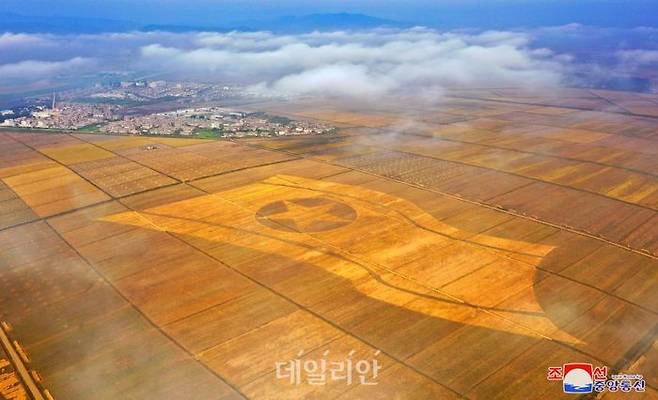 북한 논밭에 인공기가 새겨진 모습(자료사진) ⓒ조선중앙통신