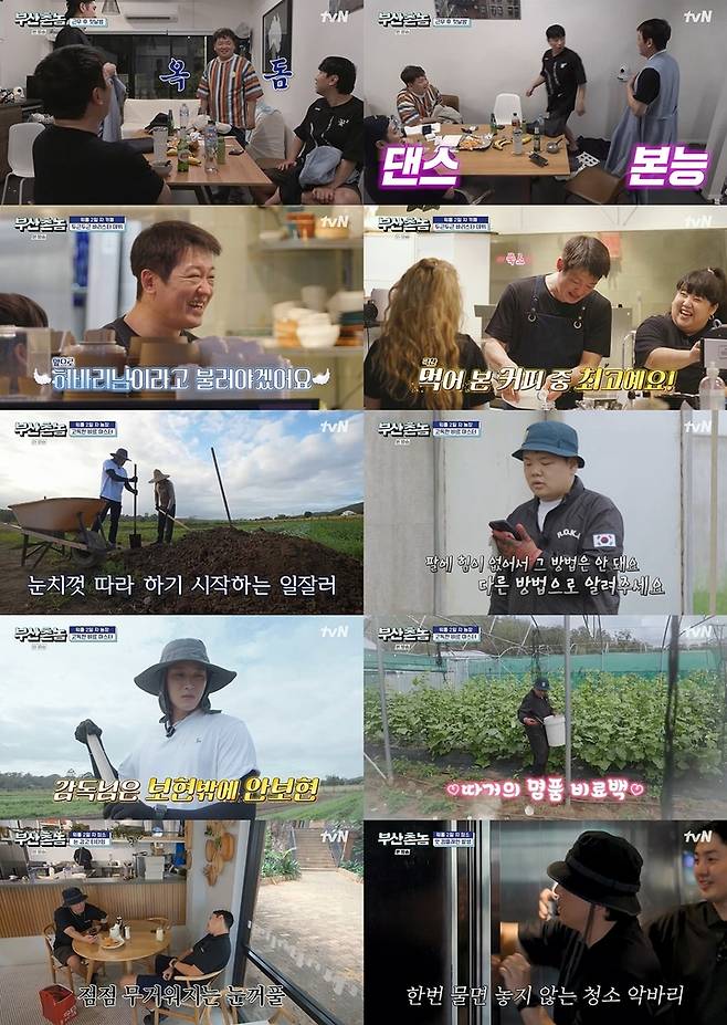 [서울=뉴시스] tvN '부산촌놈 in 시드니'. 23.05.15. (사진=tvN 제공) photo@newsis.com *재판매 및 DB 금지