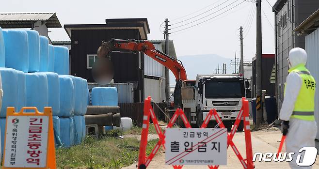 16일 충북 충주시가 오는 19일까지 구제역 백신 긴급 접종을 한다고 밝혔다.(자료사진)/뉴스1 ⓒ News1 김용빈 기자