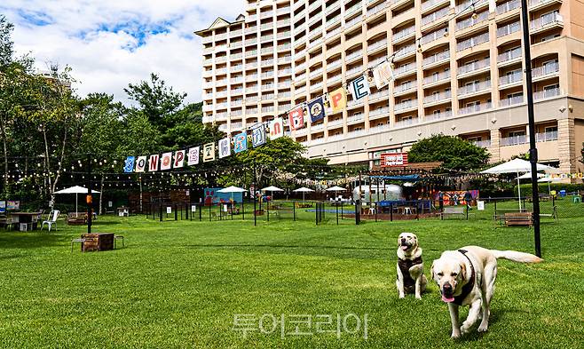 '소노펫 비발디파크'