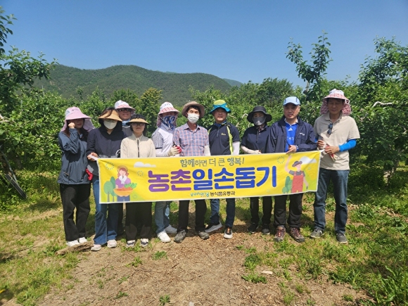 16일 포항시 농식품유통과 직원들이 기북면 용기리의 농가를 찾아 봄철 농촌 일손을 돕고 기념사진을 찍고 있다. [사진=포항시청]