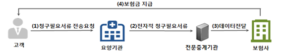 실손의료보험 청구 간소화 기본 모형