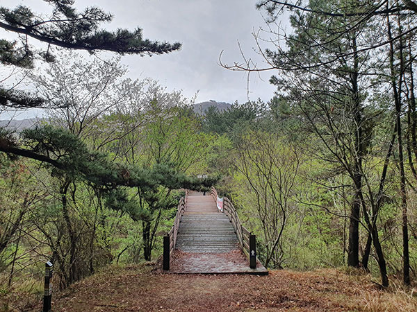 망산교, 꼭대기 정상.