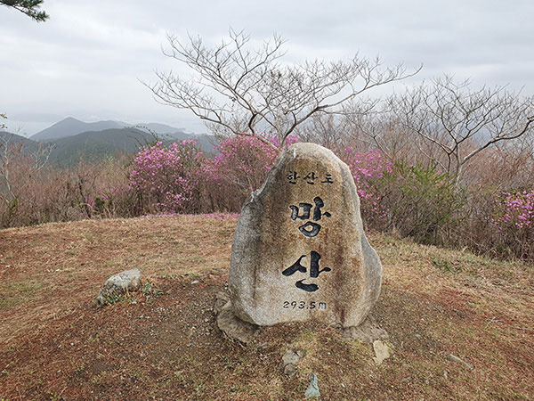 망산 정상.