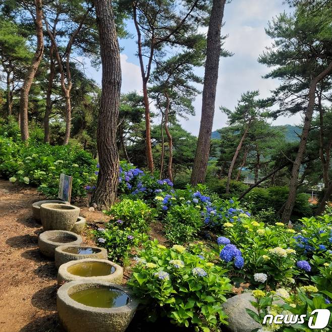 전남 장성군의 ‘루몽드 정원’ (산림청 제공)/뉴스1