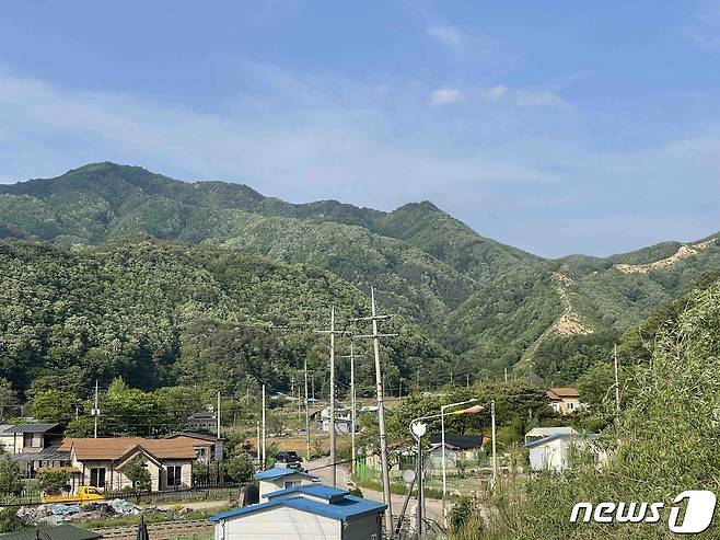 강원 철원군 갈말읍 신철원리 포사격장 산불 현장.(강원도소방본부 제공)