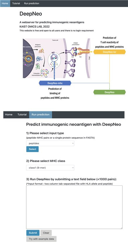 환자 맞춤형 신생항원 발굴에 사용되는 AI 웹서비스 '딥네오(DeepNeo)' 화면/KAIST 제공