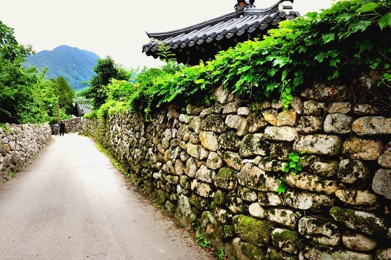 JTBC 인기 드라마 '나쁜 엄마'의 무대가 된 경북 군위 한밤마을. 마을 골목을 따라 길게 이어진 돌담길이 유독 아름다운 장소다. 사진 경북관광공사