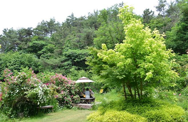 전남 제2호 민간정원인 담양 죽화경. (사진=담양군 제공) *재판매 및 DB 금지