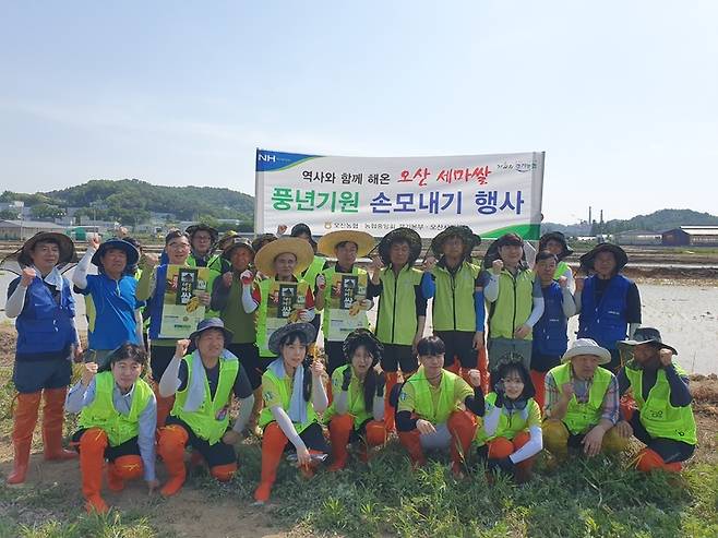 농협중앙회 경기본부 농촌사랑 봉사단 임직원과 N돌핀 대학생봉사단이 17일 일손이 부족해 어려움을 겪고 있는 벼 재배농가를 찾아 손 모내기를 했다. (사진=경기농협 제공) *재판매 및 DB 금지