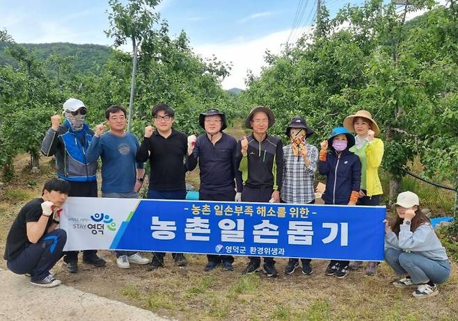 사과재배 농가 일손돕기 활동에 구슬땀을 흘리고 있는 영덕군 환경위생과.