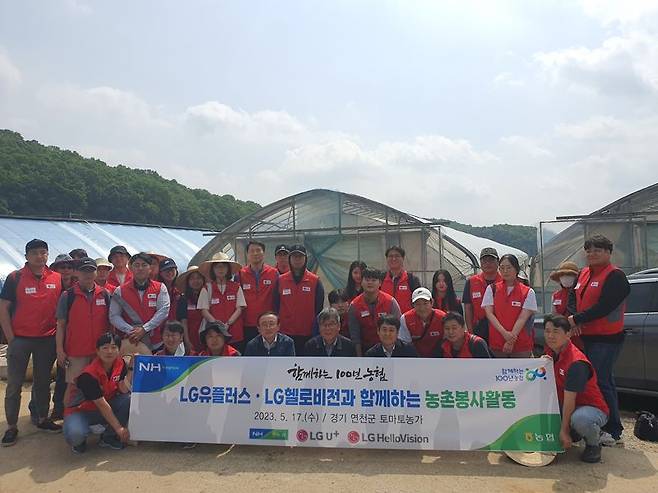 LG유플러스와 LG헬로비전 임직원이 지난 17일 경기도 연천군 토마토농가에서 토마토 곁눈제거 활동을 펼치고 기념사진을 찍고 있다. LG유플러스 제공