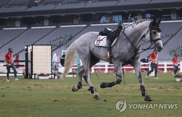 (도쿄=연합뉴스) 신준희 기자 = 6일 일본 도쿄스타디움에서 열린 도쿄올림픽 여자 근대5종 승마 종목에 출전한 말 한마리가 경기 도중 선수를 떨어뜨리고 어디론가 도망가고 있다. 근대5종은 한 선수가 펜싱, 수영, 승마, 육상, 사격 경기를 모두 소화해 최고의 '만능 스포츠맨'을 가리는 종목이다. 2021.8.6