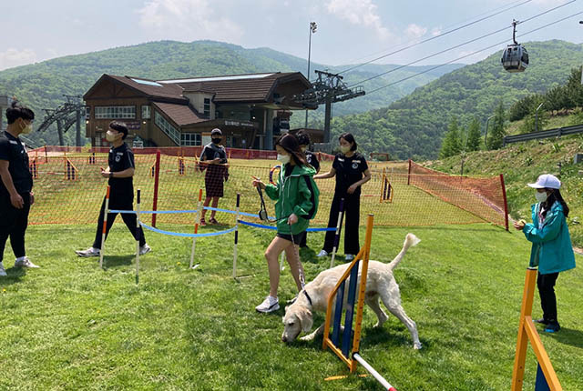 ▲지난해 하이원리조트에서 열린 반려견 축제 '댕댕트레킹' 모습.ⓒ하이원리조트