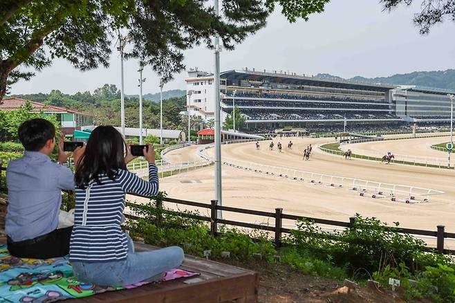 경주로가 한눈에 내려다 보이는 벚꽃길 산책로 옆 덱.