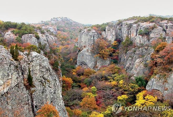 고창 선운산 [연합뉴스 자료사진]