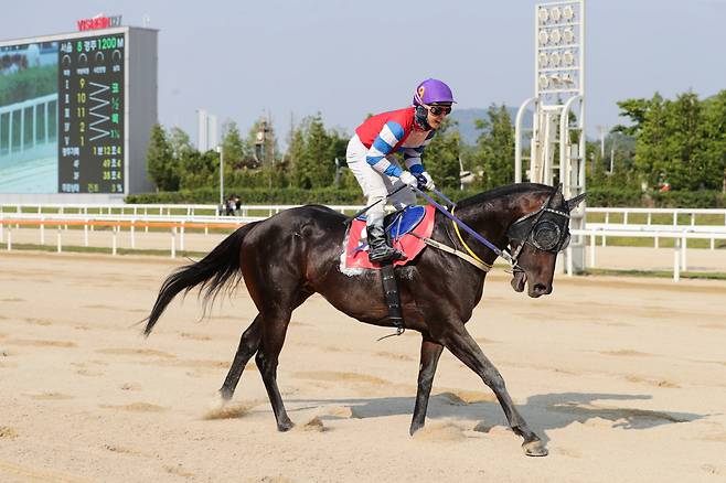 블랙머스크. 사진제공=한국마사회