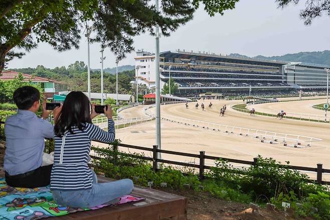 경주로가 한눈에 보이는 벚꽃길 산책로 옆 데크. 사진제공=한국마사회