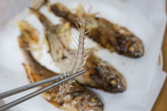 목에 생선가시가 걸린 느낌이 든다면 우선 침을 수차례 삼켜보고, 그래도 넘어가지 않는다면 가시가 걸린 직후 금식한 상태로 곧바로 병원을 방문하는 것이 좋다. /사진=클립아트코리아